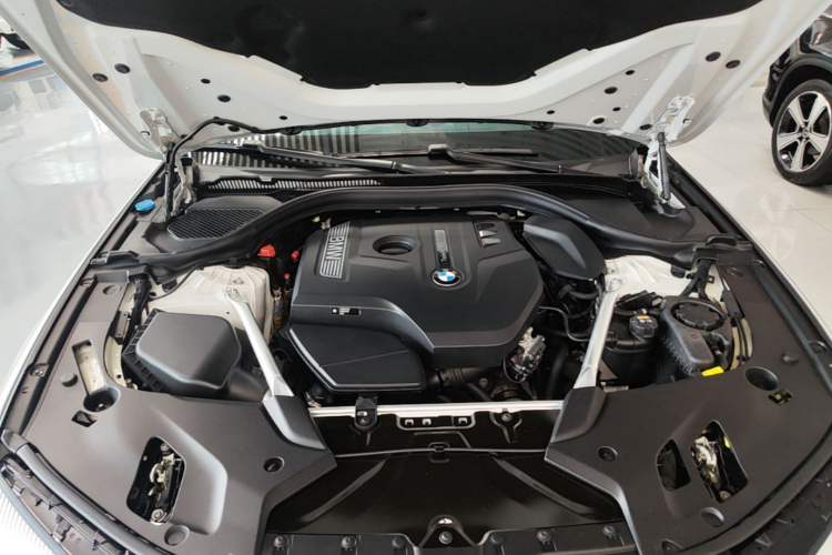 Used BMW 5 Series 2019 Facelifted 530Li Leading Edition Luxury Package Engine Bay