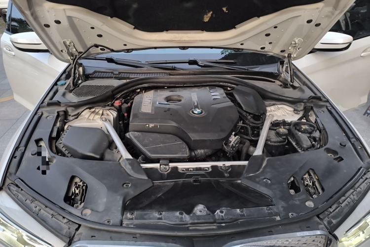 Used BMW 5 Series 2019 Restyled 530Li Luxury Edition M Sport Package Engine Bay