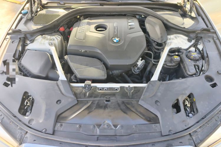 Used BMW 5 Series 2019 Facelifted 530Li Leading Edition M Sport Package Engine Bay