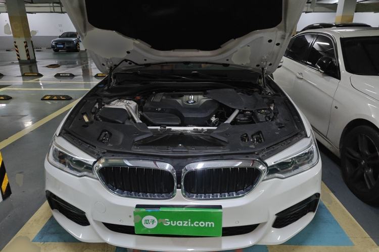 Used BMW 5 Series 2019 530Li Luxury Edition M Sport Package Engine Bay