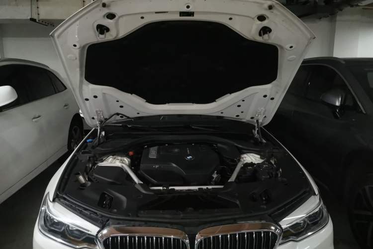 Used BMW 5 Series 2019 530Li Luxury Edition Premium Package Engine Bay