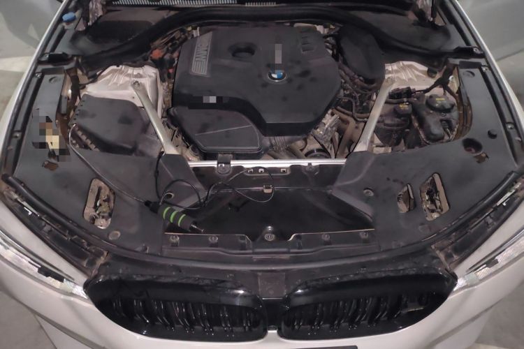 Used BMW 5 Series 2019 530Li Luxury Edition Premium Package Engine Bay