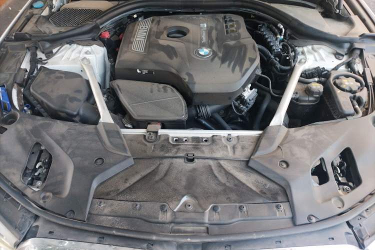 Used BMW 5 Series 2019 530Li Luxury Edition Premium Package Engine Bay