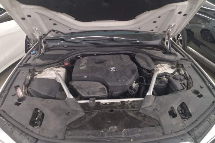 Used BMW 5 Series 2019 530Li Luxury Edition M Sport Package Engine Bay