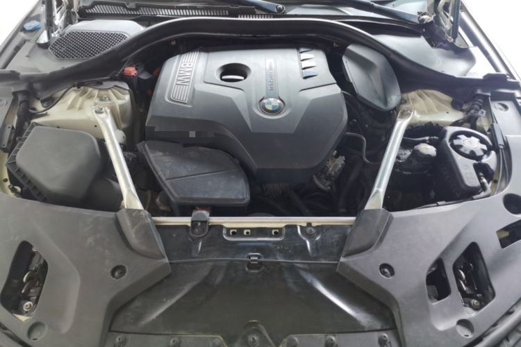 Used BMW 5 Series 2019 530Li Leading Model M Sport Package Engine Bay