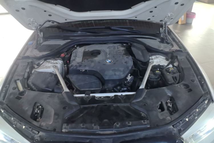 Used BMW 5 Series 2019 Facelifted 530Li Leading Edition M Sport Package Engine Bay