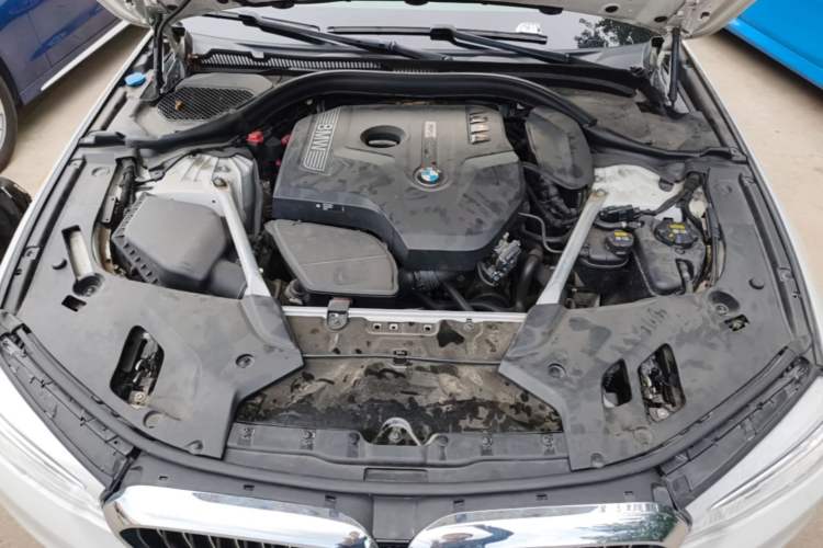 Used BMW 5 Series 2019 530Li Luxury Edition Premium Package Engine Bay