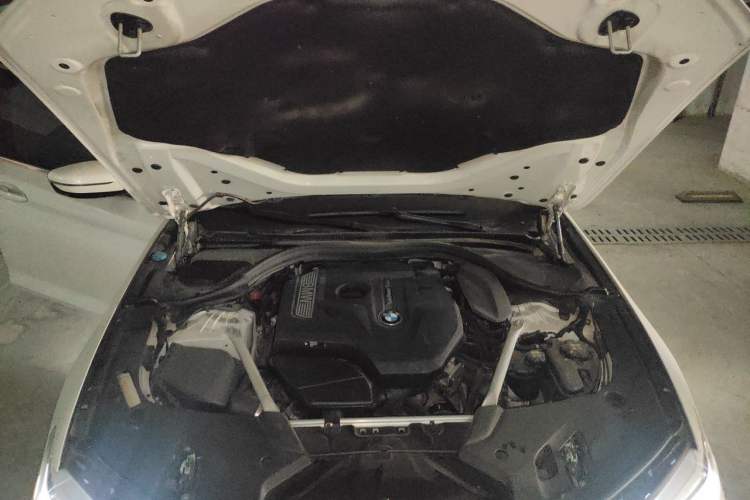 Used BMW 5 Series 2019 Facelifted 530Li Luxury Edition Premium Package Engine Bay