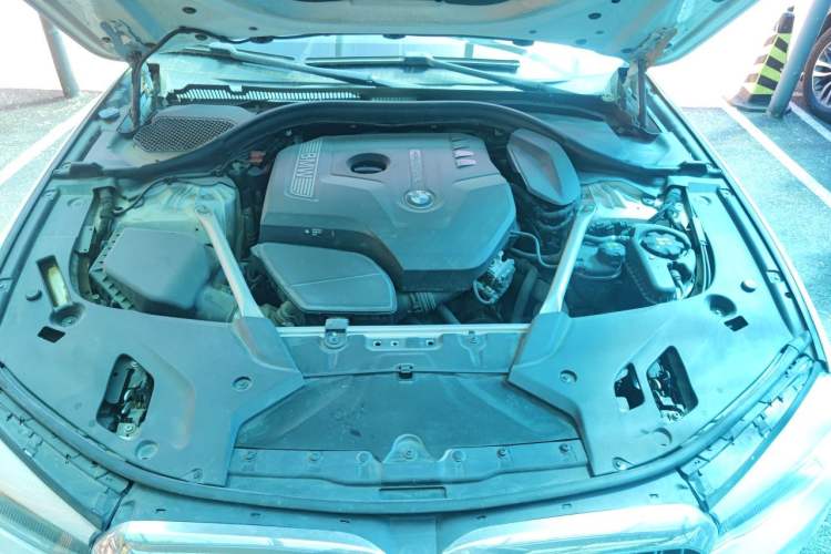 Used BMW 5 Series 2019 525Li Luxury Package Engine Bay