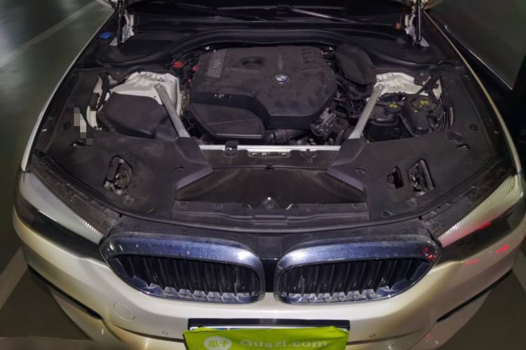 Used BMW 5 Series 2019 530Li Leading Model M Sport Package Engine Bay