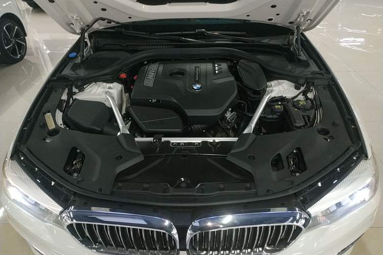 Used BMW 5 Series 2019 530Li xDrive Luxury Package Engine Bay