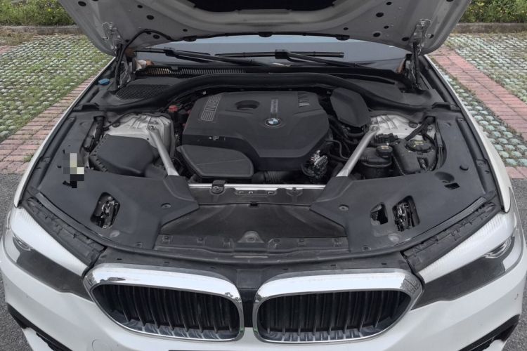 Used BMW 5 Series 2019 Facelifted 530Li Leading Edition M Sport Package Engine Bay
