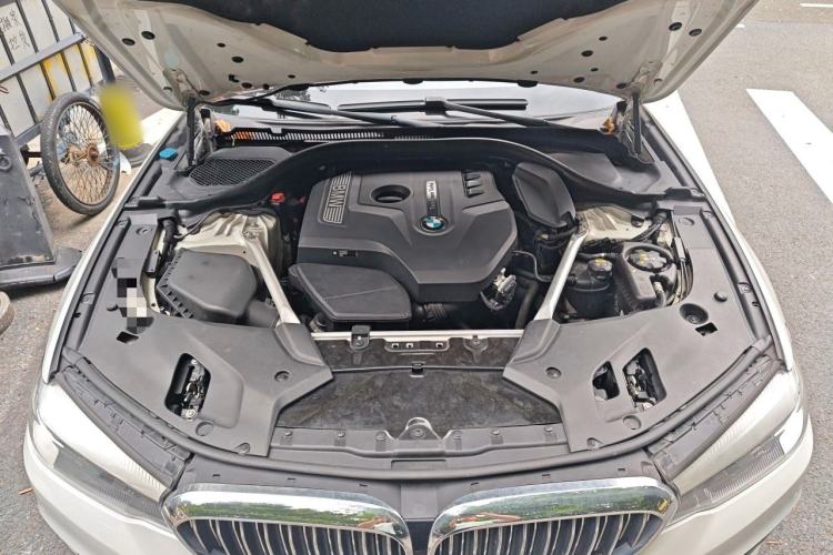 Used BMW 5 Series 2019 530Li Leading Model Luxury Package Engine Bay