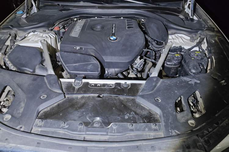 Used BMW 5 Series 2019 530Li Leading Model Luxury Package Engine Bay