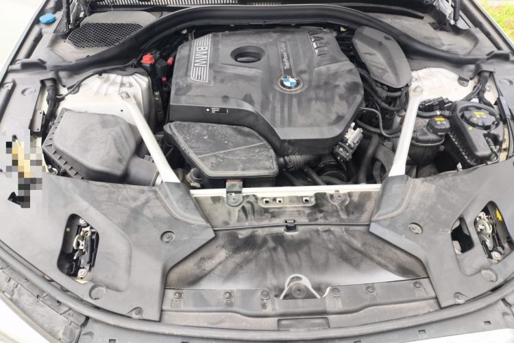 Used BMW 5 Series 2019 Facelifted 530Li Leading Edition Luxury Package Engine Bay