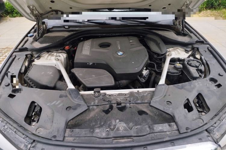 Used BMW 5 Series 2019 530Li Leading Model Luxury Package Engine Bay