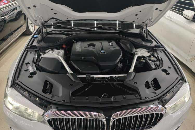 Used BMW 5 Series 2019 530Li xDrive Luxury Package Engine Bay