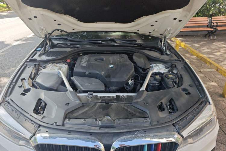 Used BMW 5 Series 2019 Restyled 530Li Luxury Edition M Sport Package Engine Bay