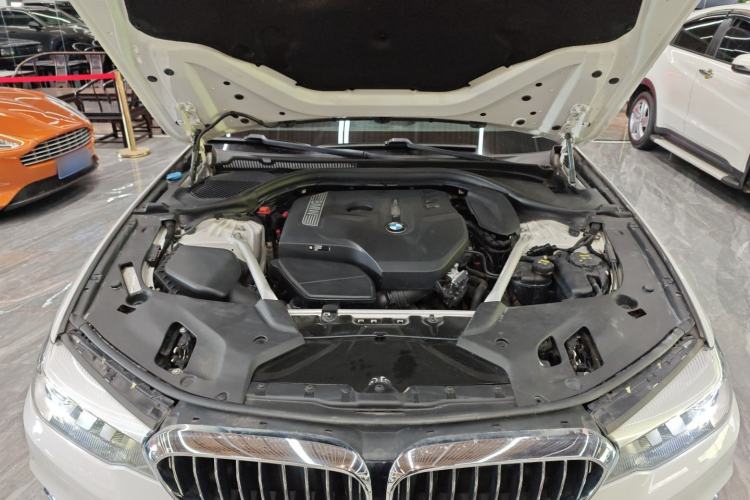 Used BMW 5 Series 2019 530Li xDrive Luxury Package Engine Bay