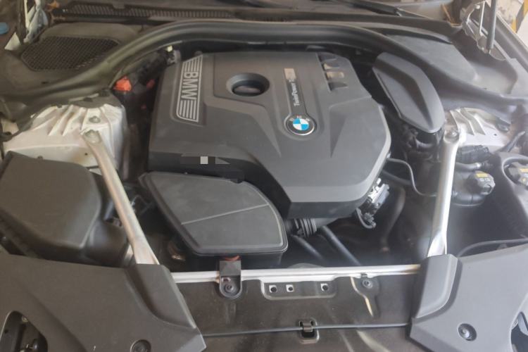 Used BMW 5 Series 2019 530Li Luxury Edition Premium Package Engine Bay