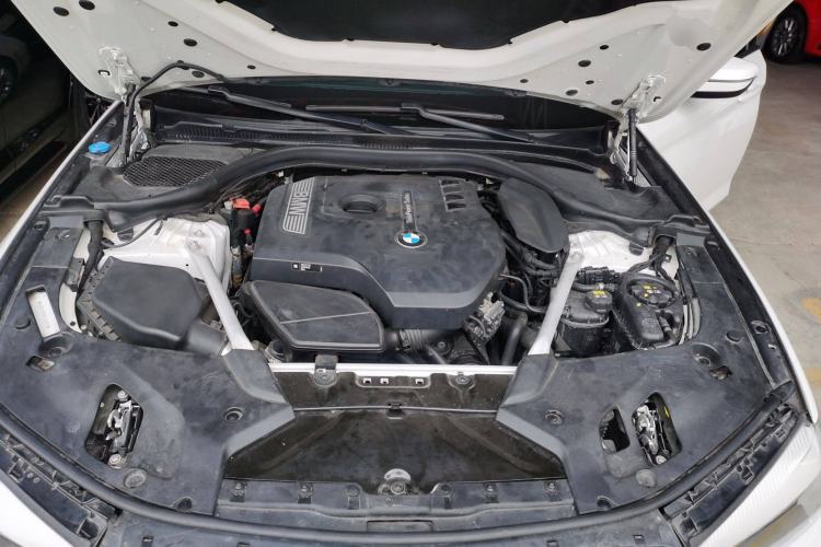 Used BMW 5 Series 2019 Facelifted 530Li Leading Edition Luxury Package Engine Bay