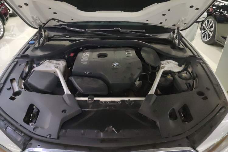Used BMW 5 Series 2019 530Li Leading Model Luxury Package Engine Bay
