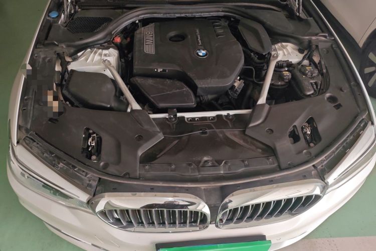 Used BMW 5 Series 2019 Facelifted 530Li Luxury Edition Premium Package Engine Bay