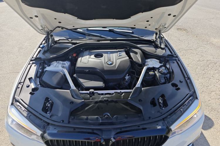 Used BMW 5 Series 2019 Restyled 530Li Luxury Edition M Sport Package Engine Bay
