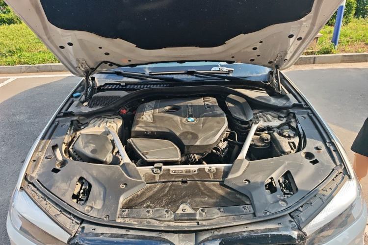 Used BMW 5 Series 2019 530Li Leading Model M Sport Package Engine Bay