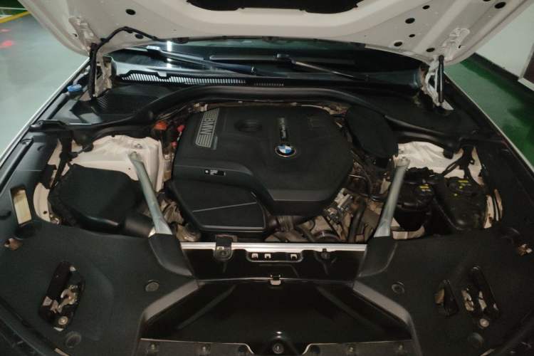 Used BMW 5 Series 2019 530Li xDrive M Sport Package Engine Bay
