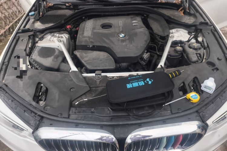 Used BMW 5 Series 2019 530Li Luxury Edition Premium Package Engine Bay