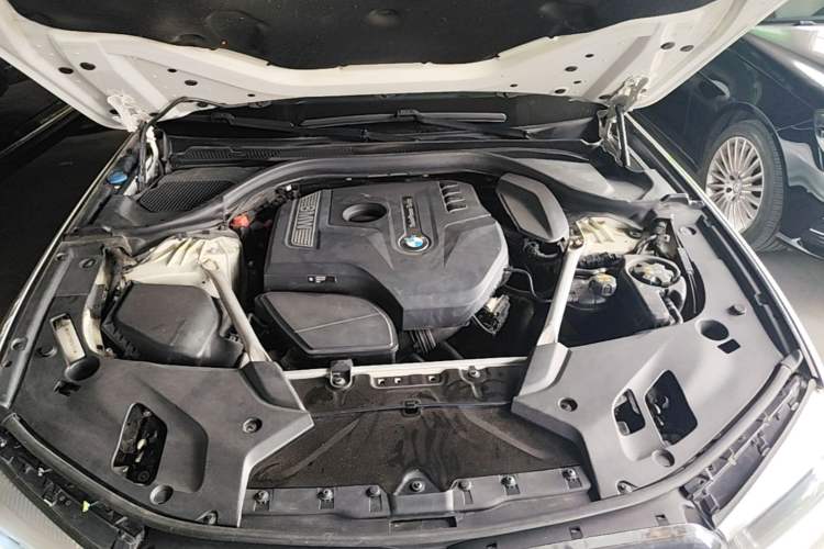 Used BMW 5 Series 2019 530Li xDrive M Sport Package Engine Bay