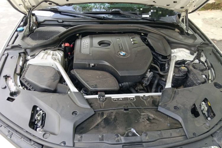 Used BMW 5 Series 2019 Facelifted 530Li Leading Edition Luxury Package Engine Bay
