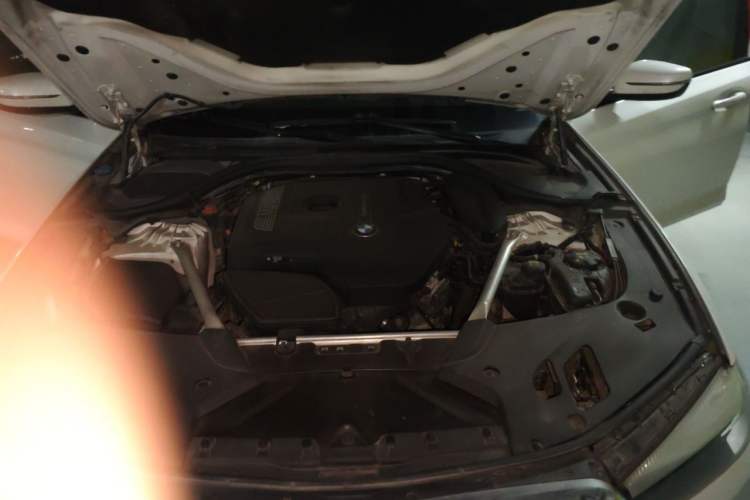 Used BMW 5 Series 2019 530Li Leading Model M Sport Package Engine Bay