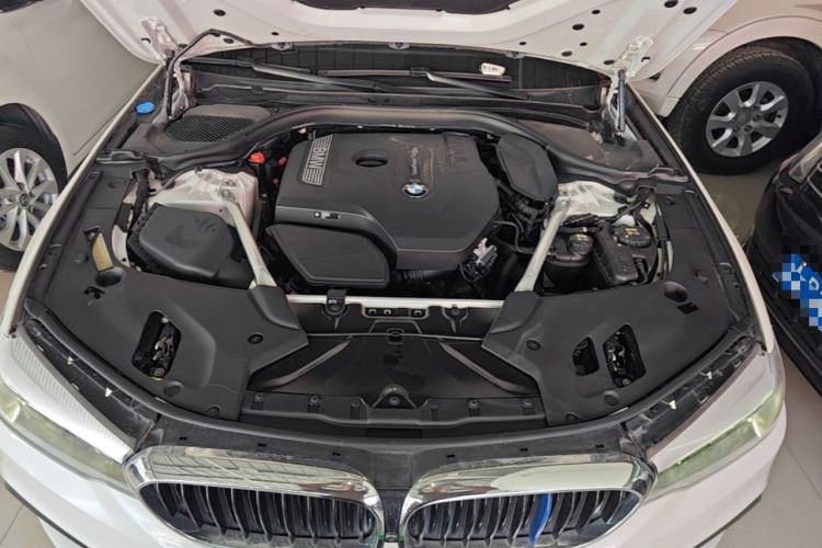 Used BMW 5 Series 2019 530Li Leading Model M Sport Package Engine Bay