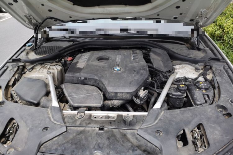 Used BMW 5 Series 2019 Facelifted 525Li Luxury Package Engine Bay