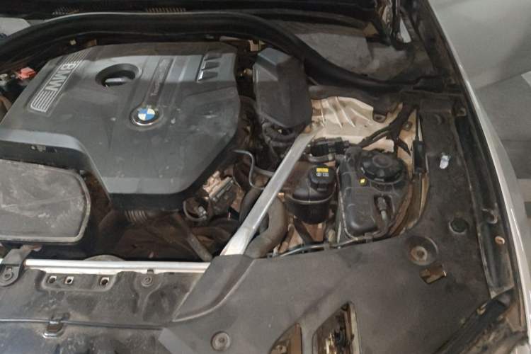 Used BMW 5 Series 2019 525Li Luxury Package Engine Bay Left