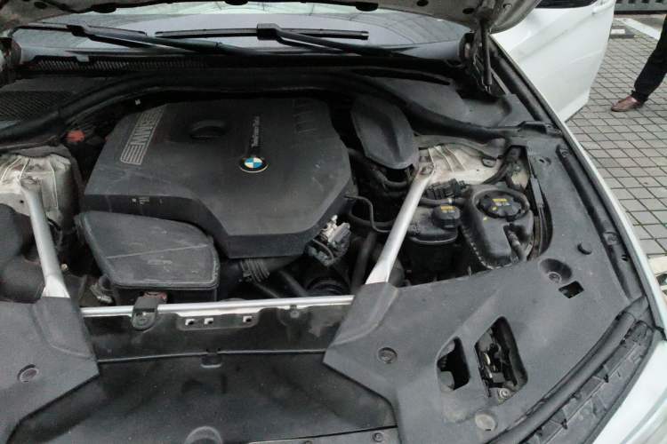 Used BMW 5 Series 2019 530Li Luxury Edition M Sport Package Engine Bay Left