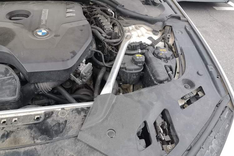Used BMW 5 Series 2019 530Li Leading Model Luxury Package Engine Bay Left