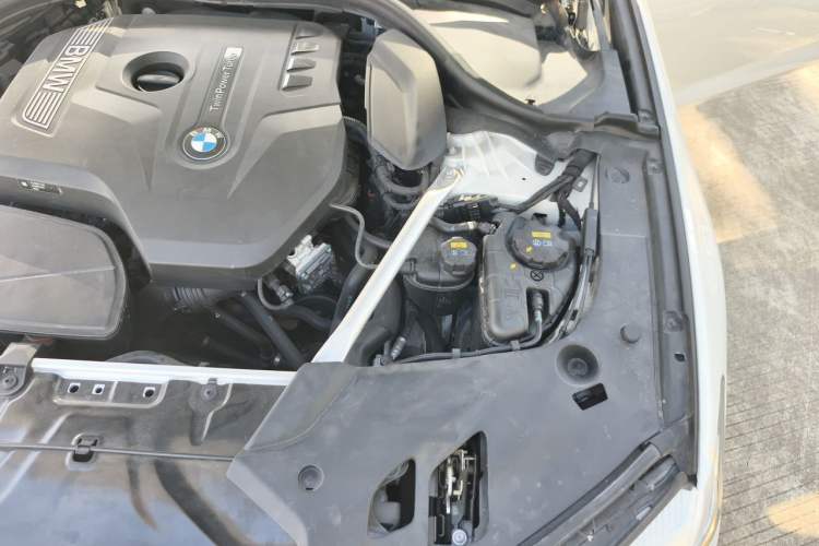 Used BMW 5 Series 2019 Facelifted 530Li Leading Edition M Sport Package Engine Bay Left