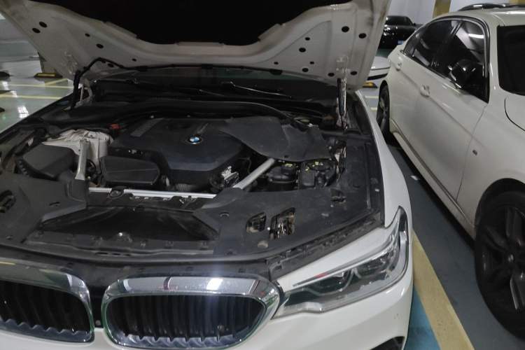 Used BMW 5 Series 2019 530Li Luxury Edition M Sport Package Engine Bay Left
