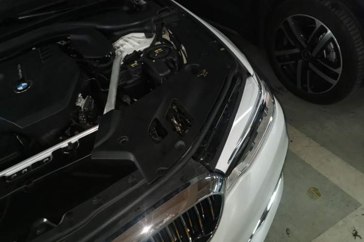 Used BMW 5 Series 2019 530Li Luxury Edition Premium Package Engine Bay Left