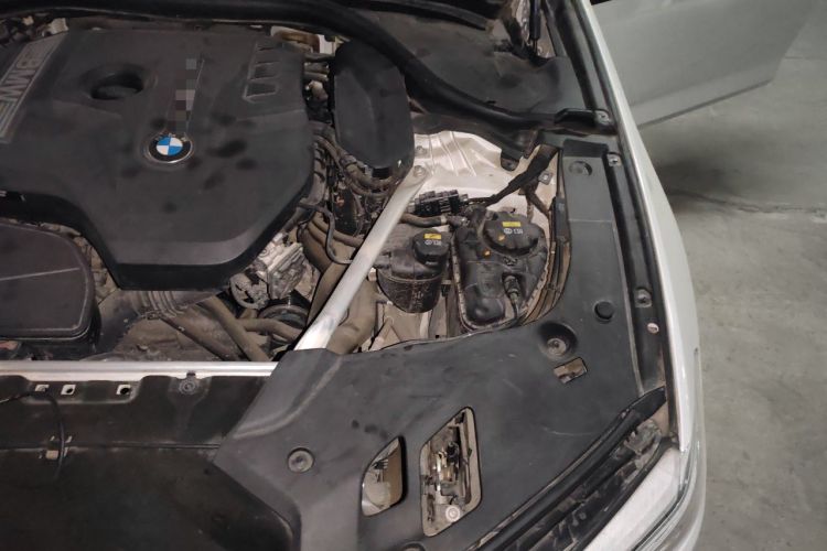 Used BMW 5 Series 2019 530Li Luxury Edition Premium Package Engine Bay Left