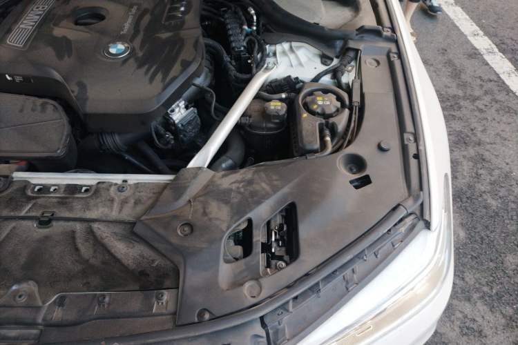Used BMW 5 Series 2019 530Li Luxury Edition Premium Package Engine Bay Left