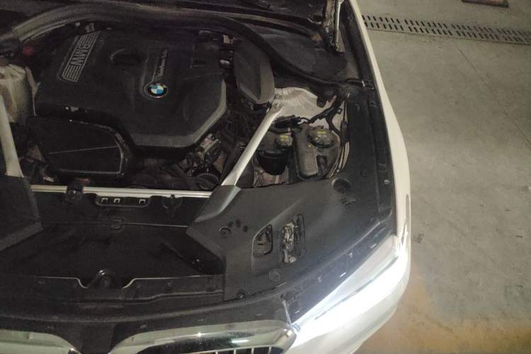 Used BMW 5 Series 2019 Facelifted 530Li Luxury Edition Premium Package Engine Bay Left