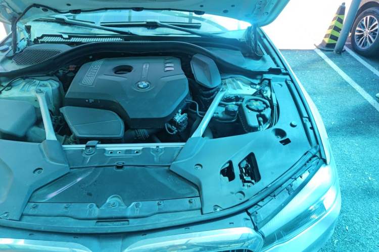 Used BMW 5 Series 2019 525Li Luxury Package Engine Bay Left