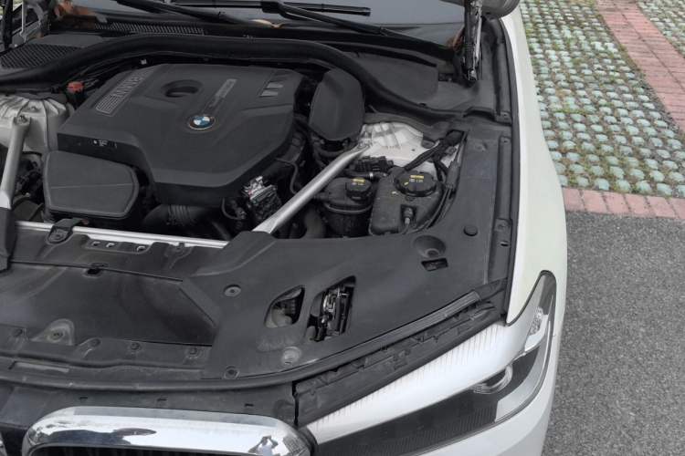 Used BMW 5 Series 2019 Facelifted 530Li Leading Edition M Sport Package Engine Bay Left