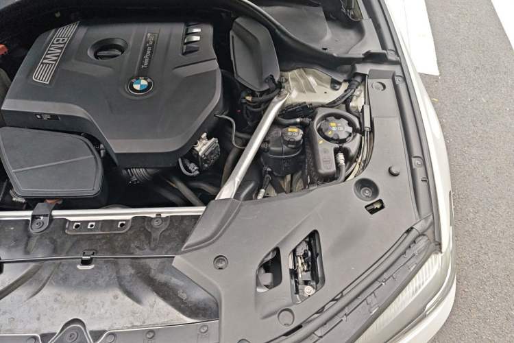 Used BMW 5 Series 2019 530Li Leading Model Luxury Package Engine Bay Left