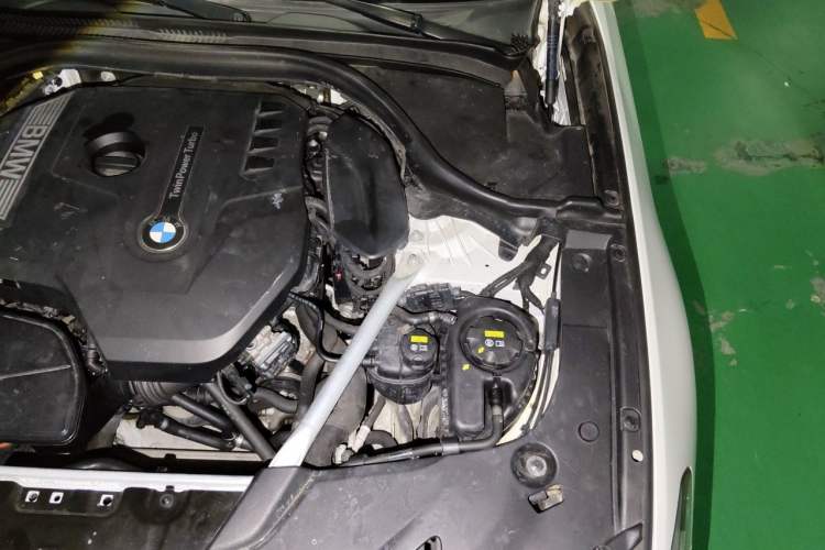 Used BMW 5 Series 2019 530Li xDrive M Sport Package Engine Bay Left