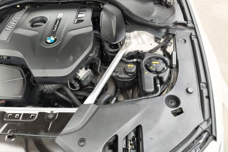 Used BMW 5 Series 2019 530Li Luxury Edition M Sport Package Engine Bay Left